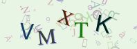 This is a captcha-picture. It is used to prevent mass-access by robots. (see: www.captcha.net)
